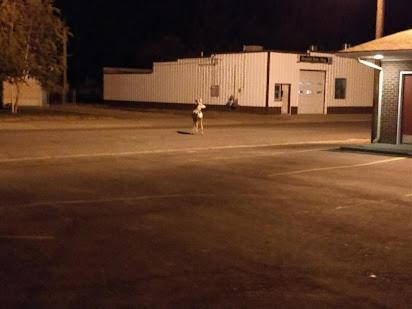 Yellowstone Motel Greybull Luaran gambar